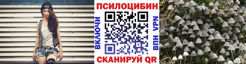 Псилоцибиновые грибы ЛСД  Купить  Покровск 